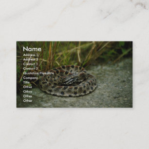 Pigmy Rattlesnake Visitkort