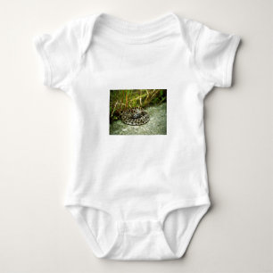 Pigmyskallerorm Tee