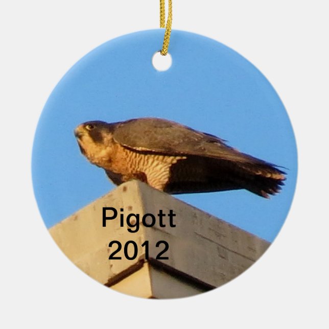 Pigott prydnad 2012 julgransprydnad keramik (Framsidan)