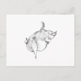 Pigs Can Fly Postcard Vykort