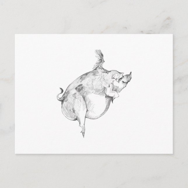 Pigs Can Fly Postcard Vykort (Framsida)