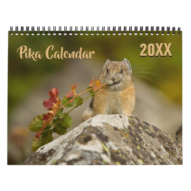 Pika 2026 Kalender (Omslag)