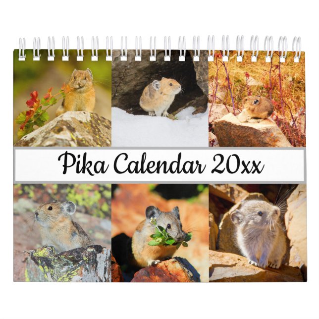Pika Kalender (Omslag)