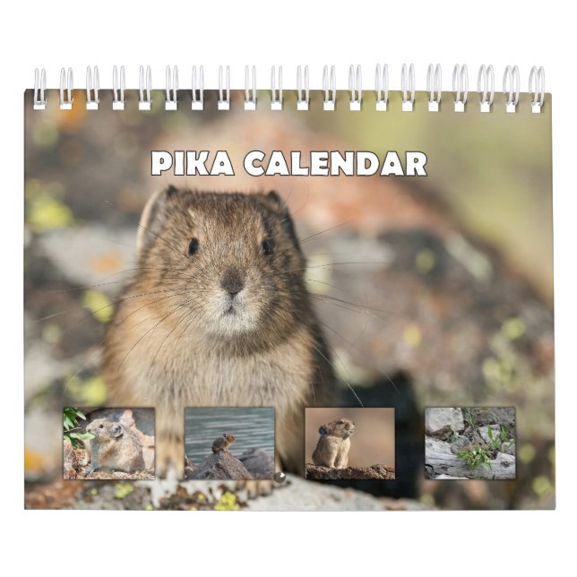 Pika Kalender (Omslag)