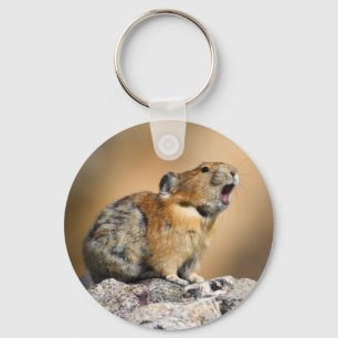 pika nyckelring