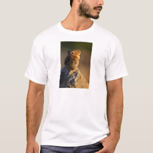 pika tee