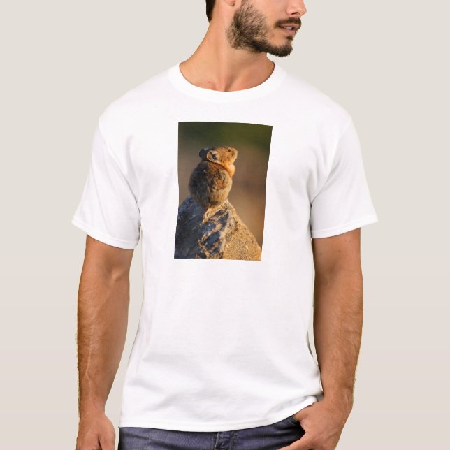 pika tee (Framsida)