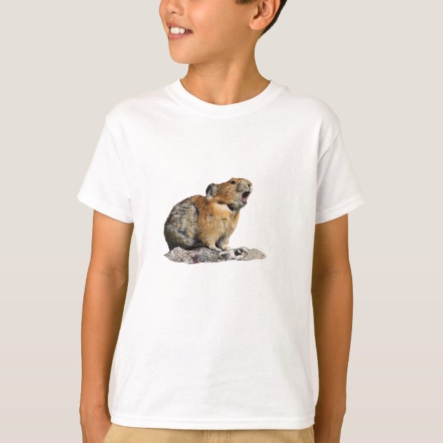 Pika tjuta t shirt (Framsida)