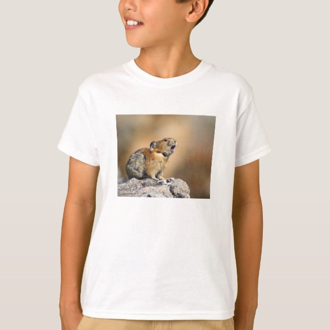 Pika Tröja (Framsida)