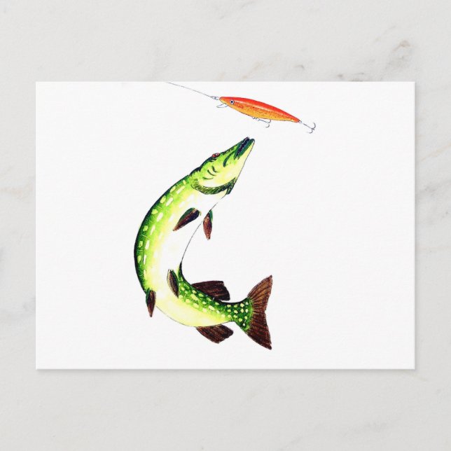 Pike Fishing Postcard Vykort (Framsida)