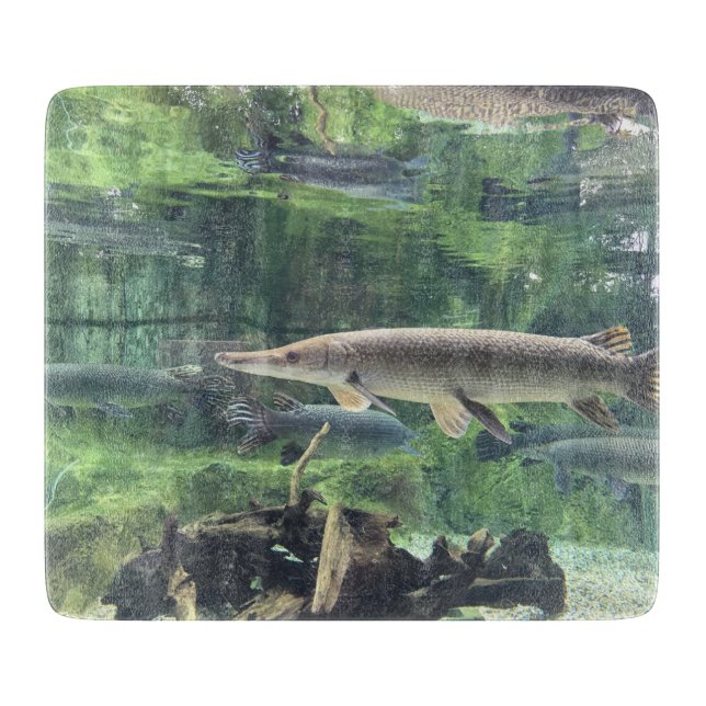 Pike fisk (Framsidan)