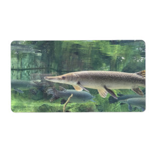 Pike fisk fraktsedel