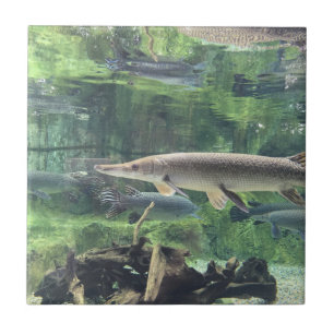 Pike fisk kakelplatta