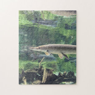 Pike fisk pussel