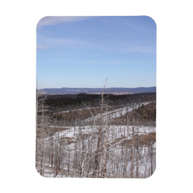 Pike Forest Photo Magnet (Vertikal)
