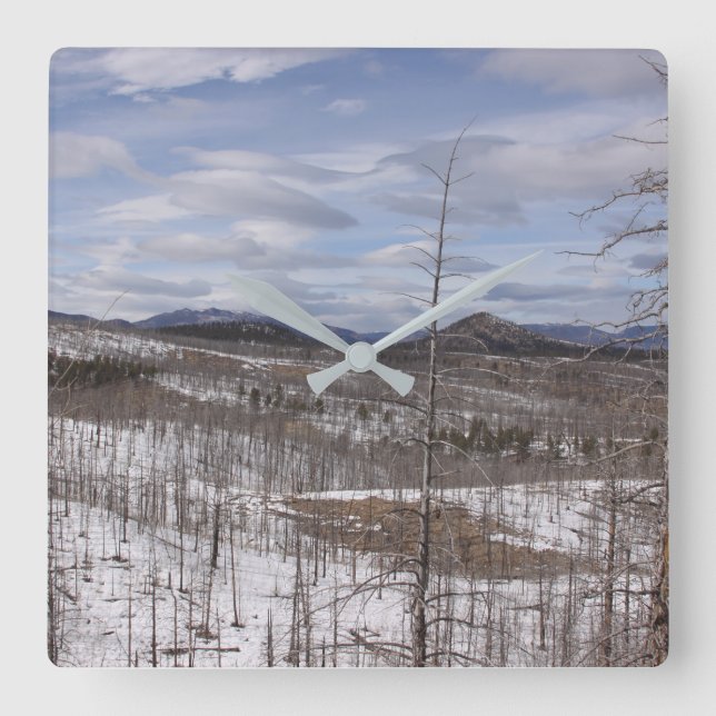 Pike National Forest Clock Fyrkantig Klocka (Framsida)