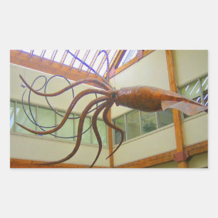 Pike Ställe Public Market Giant Squid Seattle, WA Rektangulärt Klistermärke
