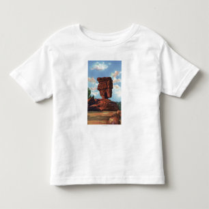 Pikes nå en höjdpunkt, Colorado - allsidig sten T-shirt
