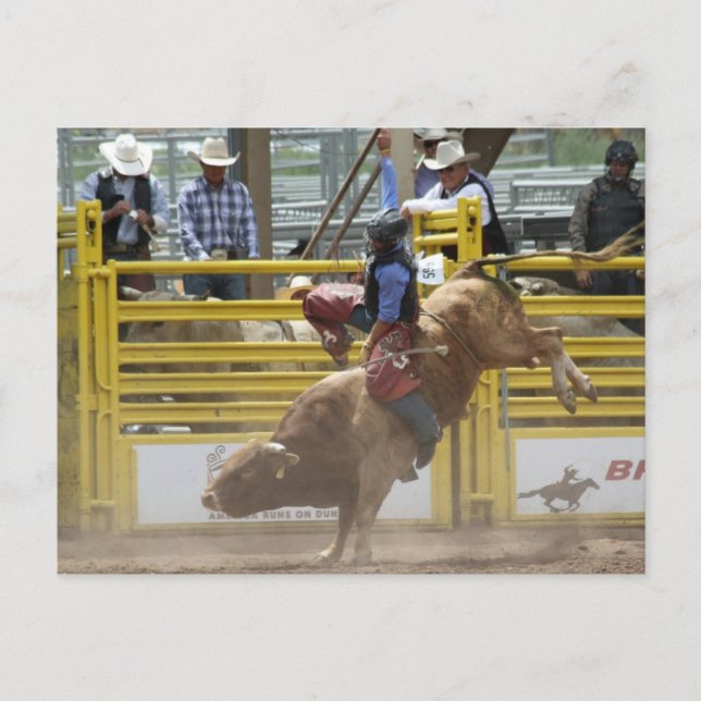 Pikes Peak eller Bust Rodeo Vykort (Framsida)