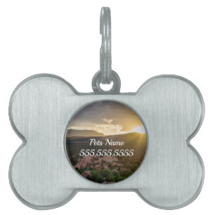 Pikes Peak Sunset Dimma Pet-tagg ID-bricka Husdjur