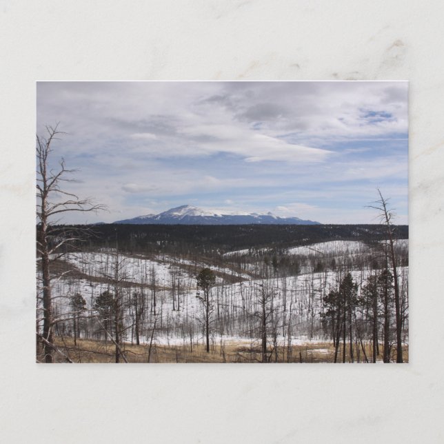 Pike's Peak vykort (Framsida)