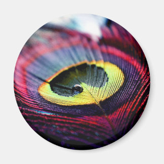 Pikock Perfektion: Fängslande Magnetdesign Magnet