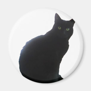 Pil den svart katten magnet