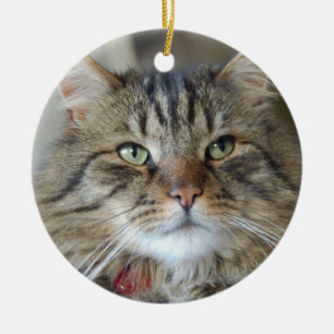 Pil katten julgransprydnad keramik