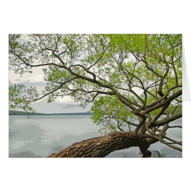 Pil på sjön hälsningskort (Framsidan Horizontal)