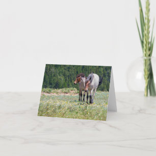 Pilar och Wildfire Pryor Mountain Vild Horses Kort