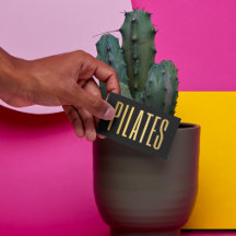 Pilaterna Black & Guld