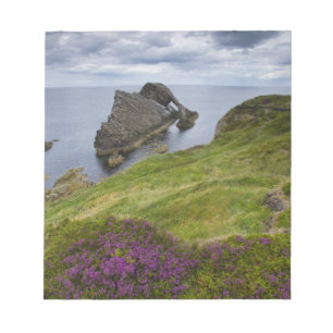 Pilbågelurendrejeristen, Portknockie, Skottland Anteckningsblock