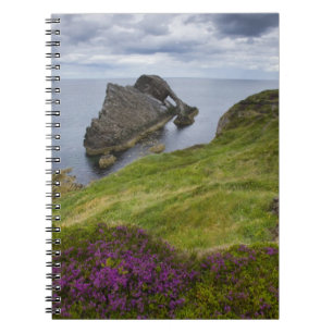 Pilbågelurendrejeristen, Portknockie, Skottland Anteckningsbok