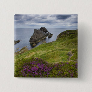 Pilbågelurendrejeristen, Portknockie, Skottland Knapp