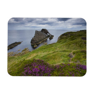 Pilbågelurendrejeristen, Portknockie, Skottland Magnet