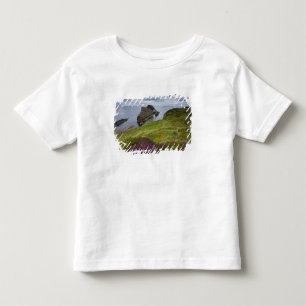 Pilbågelurendrejeristen, Portknockie, Skottland Tee