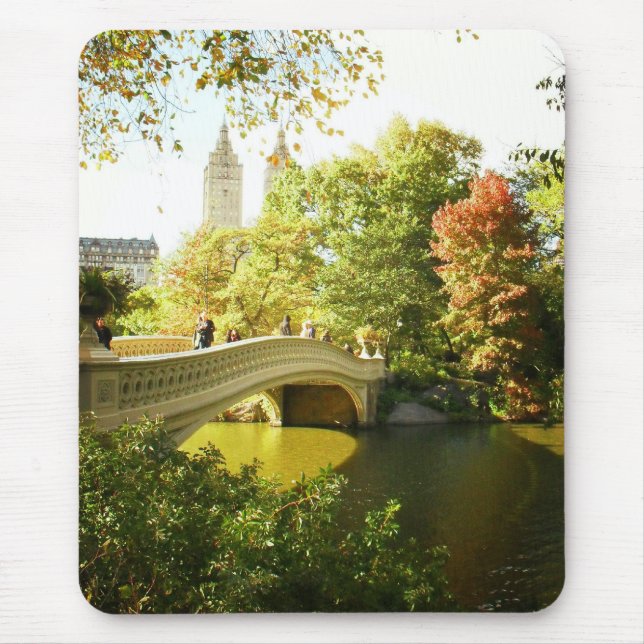 Pilbågen överbryggar, Central Park, den sena Musmatta (Framsidan)
