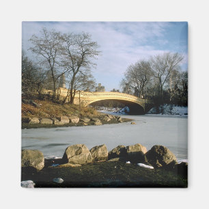 Pilbågen överbryggar den Central Park vintern NY Magnet