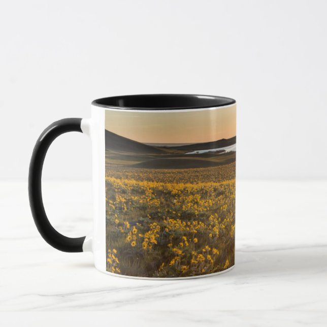 Pilbladssolfjäderblommor Mugg (Vänster)