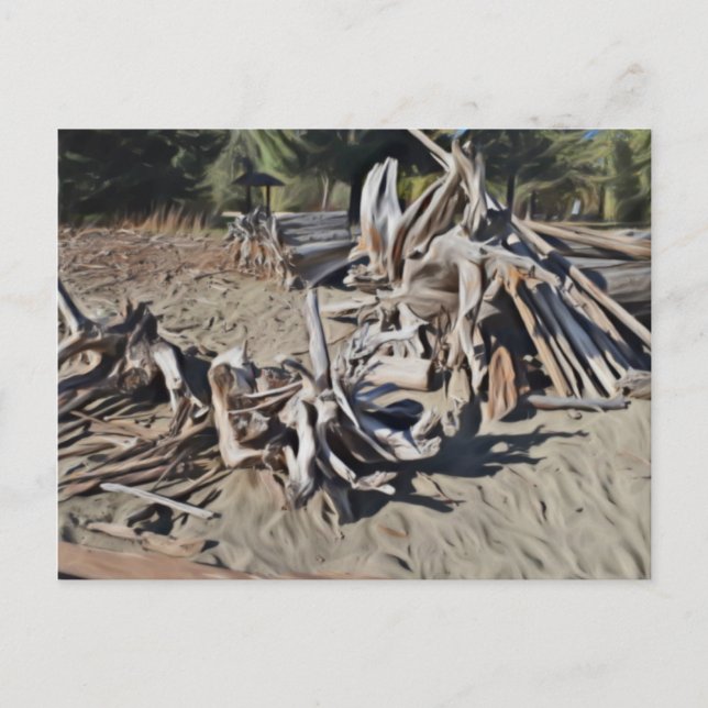 Pile of Driftwood Vykort (Framsida)