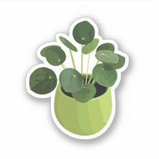 Pilea Peperomioides House Plant Sticker Klistermärken