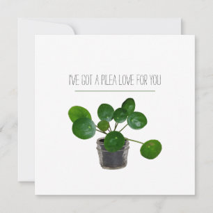 Pilea Sweet Plant Pun Valentine Julkort