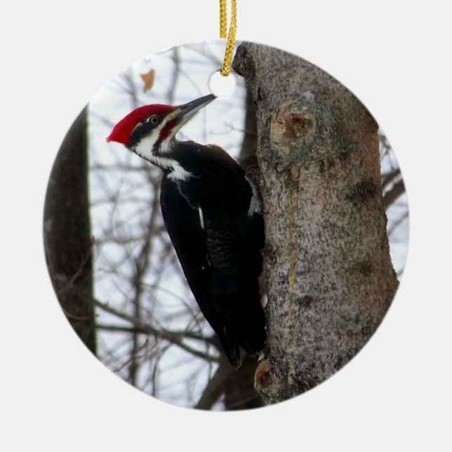 Pileated hackspett julgransprydnad keramik (Framsidan)
