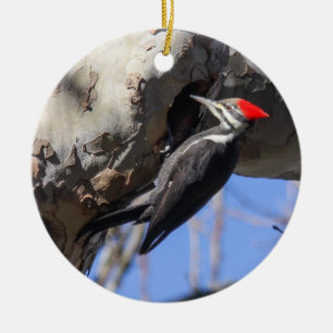 Pileated hackspett julgransprydnad keramik
