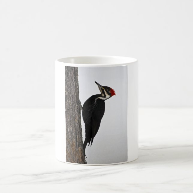 pileated hackspett kaffemugg (Center)