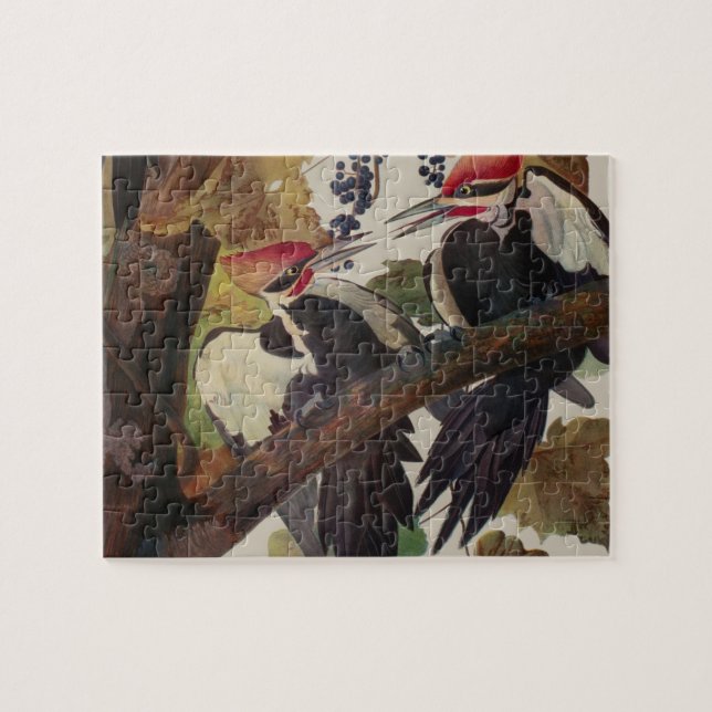 Pileated Woodpecker Audubon Bird Wildlife Painting Pussel (Horisontell)