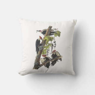 Pileated Woodpecker av Audubon Kudde