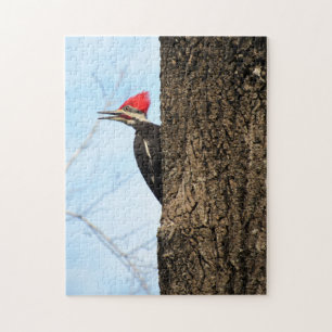 Pileated Woodpecker - Bird - Puzzle Pussel