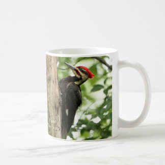 Pileated Woodpecker Coffee Mugg