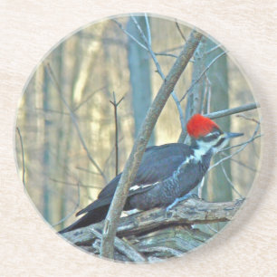 Pileated Woodpecker Coordinated Items Underlägg Sandsten